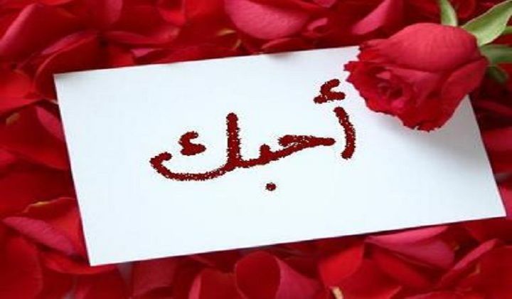 صور عيد الحب 2019 كروت تهنئة بمناسبة الفلانتين داي happy valentines day 2019