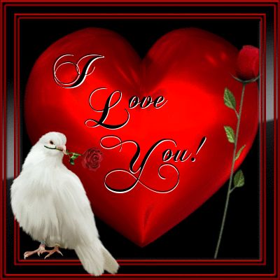 أجمل رسائل تهنئة عيد الحب 2019 sms للحبيب والأصدقاء والمتزوجين happy valentine day مسجات قصيرة
