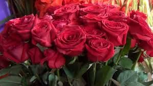 “الآن استقبل “يوم عيد الحب” مع احدث صور وأغاني عيد الحب 2019 | Happy Valentine Day...