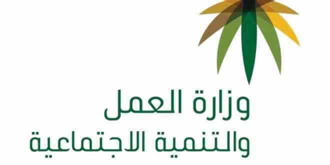 استعلام عن المقطوعة برقم الطلب موقع وزارة العمل بوابة خدمات الضمان