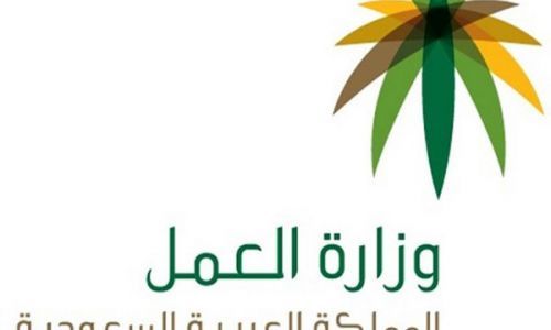 وزارة العمل السعودية توطن 12 نشاطًا