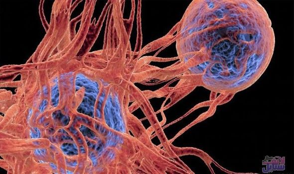 نتائج دراسة تكشف عن علاج فعال لمرضى السرطان