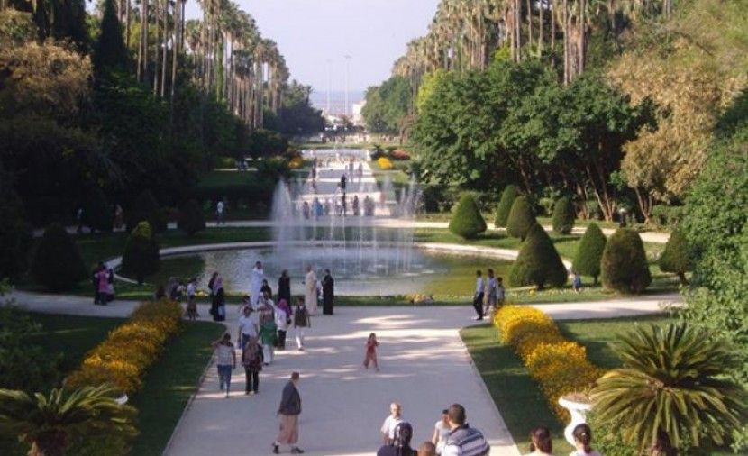 شاهد: ذبح الطفل ريان يثير جدلًا واسعًا في الجزائر