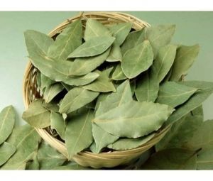 نبات سحري يعالج الصداع و يقوي الذاكرة.. وفوائد للشباب والبنات لا تخطر على بال ”تعرف عليه”