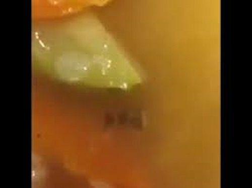 شاهد : مطاعم مكة المكرمة تقدم الصراصير وجبة غذائية للحجاج (فيديو)