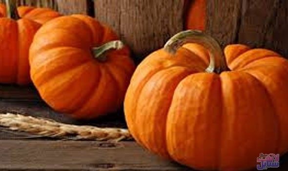 فوائد اليقطين للحصول على غذاء صحي ومتوازن مفيد للجسم