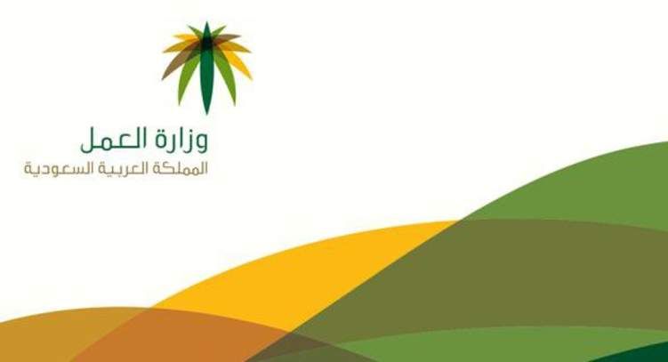 السعودية تضع شروط جديدة لبعض الوظائف للوافدين إليها من خلال تسجيل إلكتروني