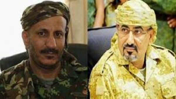 عاجل اليمن : تعيين طارق صالح في منصب رفيع وإشراك الانتقالي في الحكم.. وخطة جديدة لاقتحام صنعاء وهذا موقف الرئيس هادي(تفاصيل)