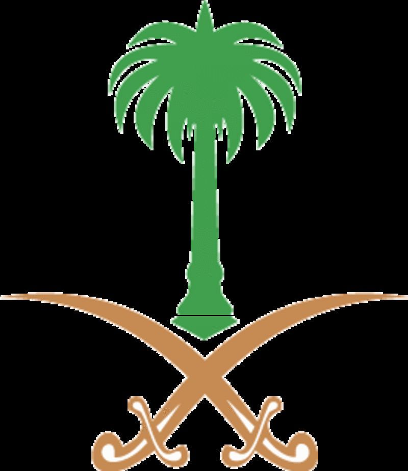 الديوان الملكي: وفاة الأمير فيصل بن فهد بن مشاري بن جلوي آل سعود