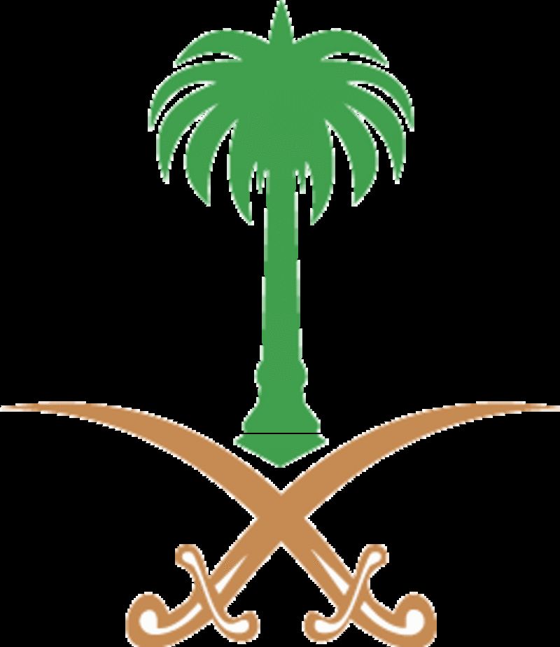 الديوان الملكي: وفاة الأمير فيصل بن فهد بن مشاري بن جلوي آل سعود