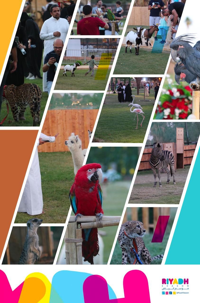 سفاري الرياض #موسم_الرياض
