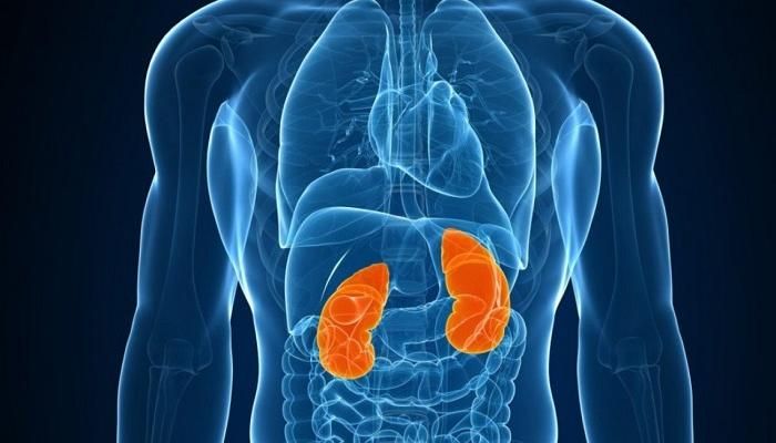 "آلة حاسبة" تكتشف مرض الكلى المزمن قبل حدوثه بـ5 سنوات
