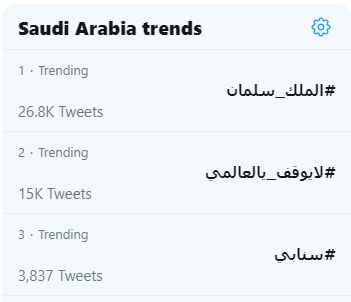"حزم وعزم ووطن مشرق".. سعوديون يجددون البيعة للملك سلمان بن عبد العزيز