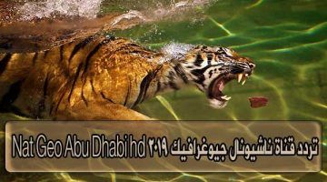 “شاهد” تردد قناة ناشيونال جيوغرافيك ديسمبر 2019 Nat Geo Abu Dhabi hd على مختلف الأقمار الصناعية