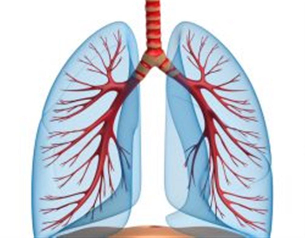 كيف تحمى نفسك من التهاب الشعب الهوائية الحاد؟