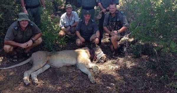 شاهد.. مؤذن الحرم المكي ‘‘علي الملا’’ يقطع الأذان فجأة .. وماحدث فاجعة للجميع (فيديو)