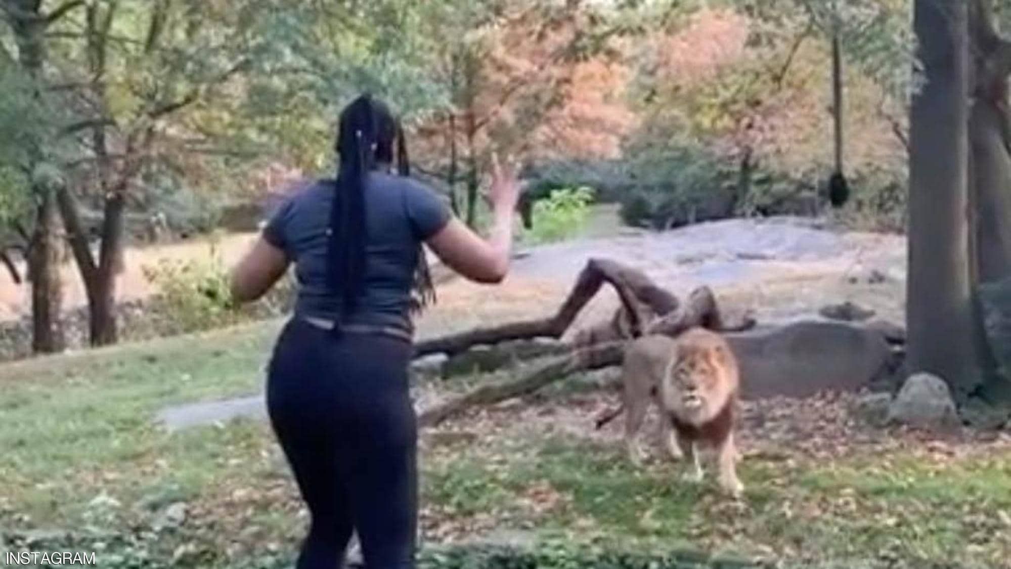 أسد يعاشر إمرأة متزوجة 7 أيام ..وعندما وصلت إلى قمة النشوة حدثت المفاجأة .. فيديو