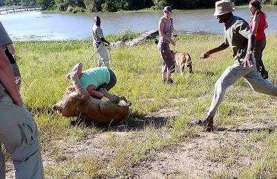 أسد ينهش لحم فتاة وهي تمارس "الجنس" مع حبيبها في الهواء الطلق ..وعندما حضرت الشرطة وجدو مفاجأة في جسد الفتاة لم تخطر على بال أحد ..شاهد