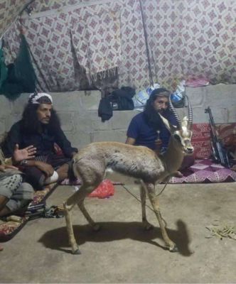 شاهد صور أولية لجثث تنظيم القاعدة مع قائد الهجوم وشقيقه المطلوبين دوليا.. أسماء وتطورت