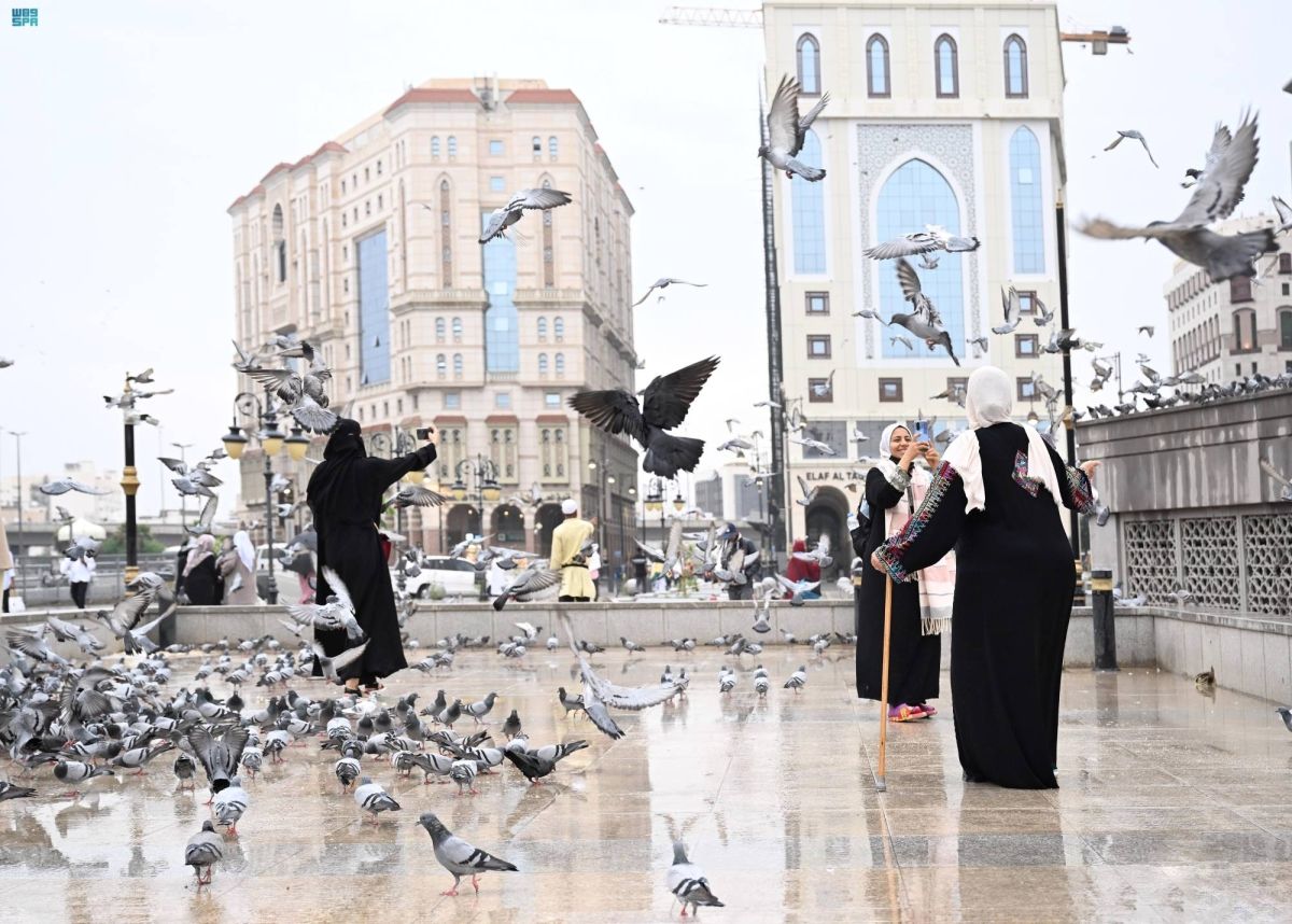 استمرار الأمطار على المدينة المنورة ومحافظاتها