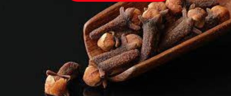 القرنفل على الريق.. 8 فوائد سحرية ومعجزة ربانية لجسدك لو عرفتها لما تخليت عنها