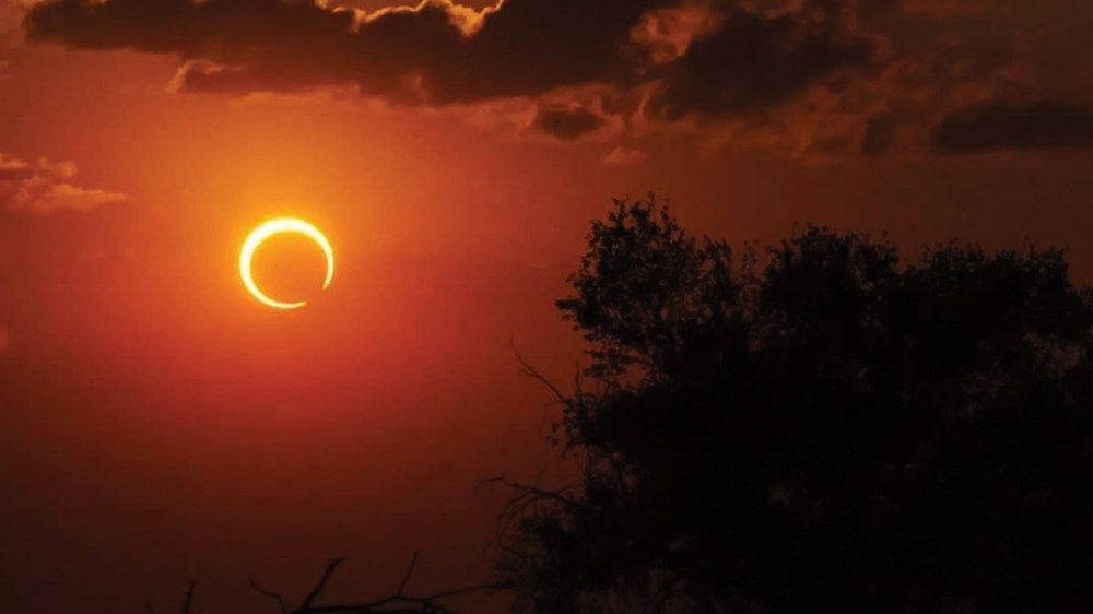 2024.. عام الحسم وحماية مستقبل البشرية