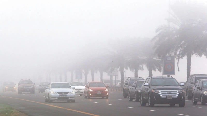 فرص للأمطار وضباب متوقع في اليوم الأول من العام الجديد.. تفاصيل