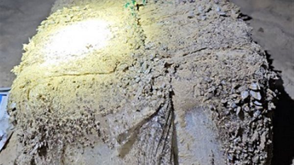 طرود غامضة تصل شواطئ أستراليا تحتوي ملايين الدولارات.. ما القصة!