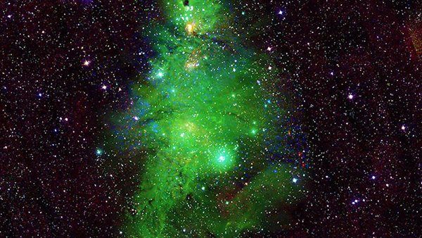 ظهور غريب لشجرة عيد الميلاد في الفضاء