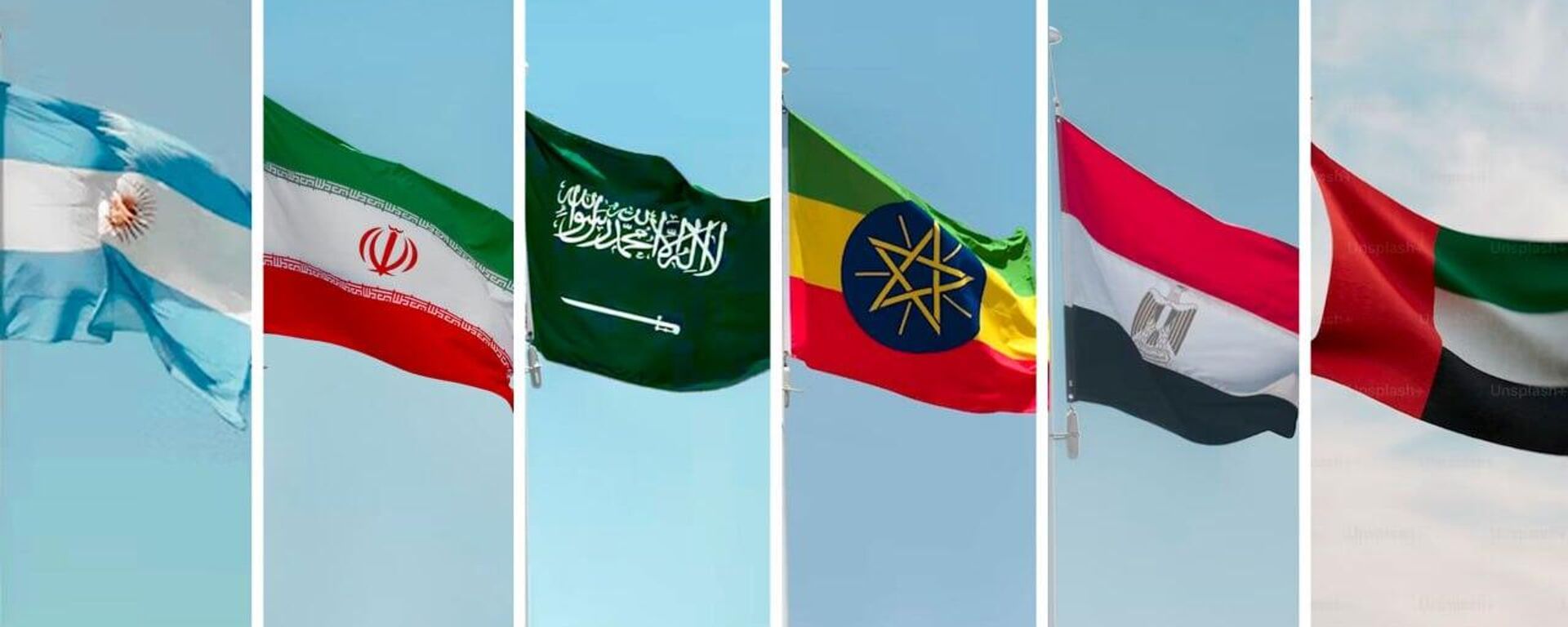 السعودية تعلن رسميًا انضمامها إلى مجموعة "بريكس"
