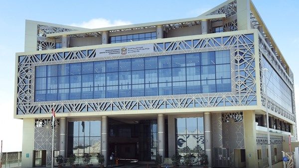 "الموارد البشرية والتوطين" تبدأ تطبيق مستهدفات التوطين على أكثر من 12 ألف شركة خاصة