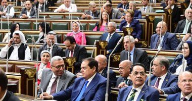 البرلمان يشكر القيادة السياسية للتوجيه بصندوق مواجهة أمراض زواج الأقارب