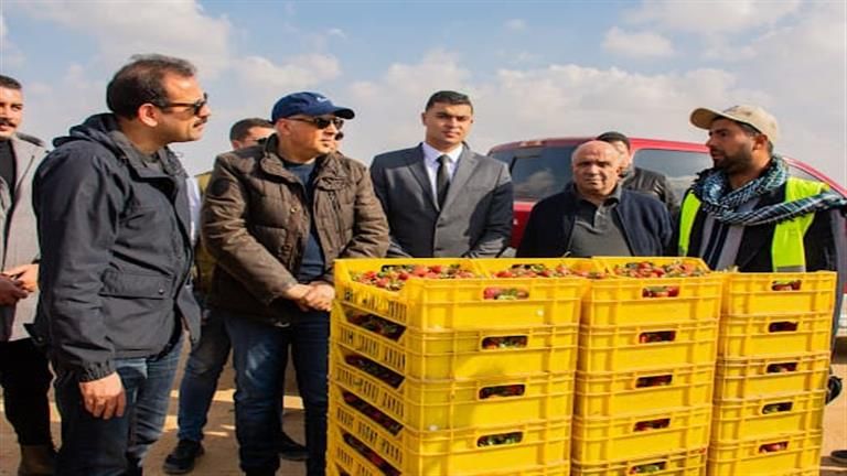 زراعة حيوية دون كيماويات.. تفاصيل تفقد سويلم "مشروع مستقبل مصر" ومزرعة بغرب الدلتا -صور