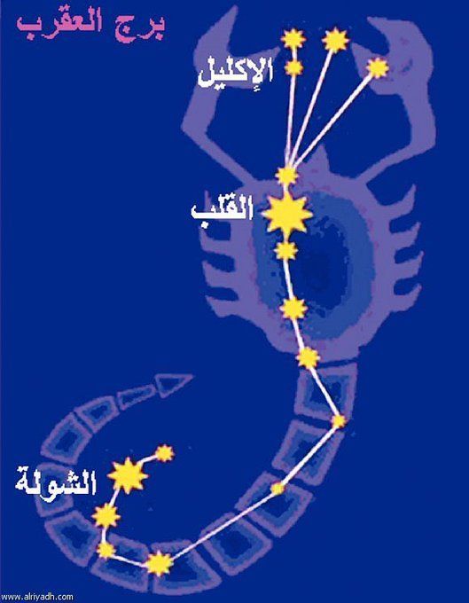 الحصيني : اليوم بداية طالع الشولة تفقدوا الفقراء و المساكين