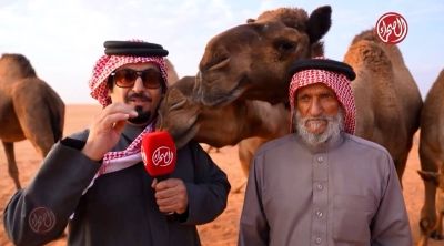 تراند اليوم : ‏بالفيديو.. حجاج الشيباني: إبلي تحبني وأنا أحبها ومتعلق فيها وأنا صغير