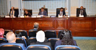 مساعد وزير الخارجية: السفارات الأجنبية استشعرت تحسن مجال حقوق الإنسان بمصر