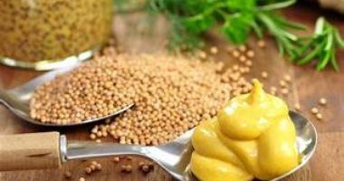 ضعها على مائدة طعامك.. "المستردة" منخفضة السعرات الحرارية ومضادة للالتهابات