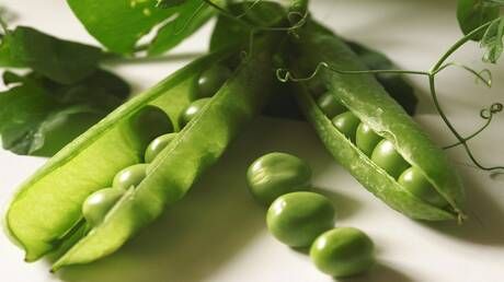 خبيرة تغذية توضح تأثير "لحم الفقراء" في الجسم