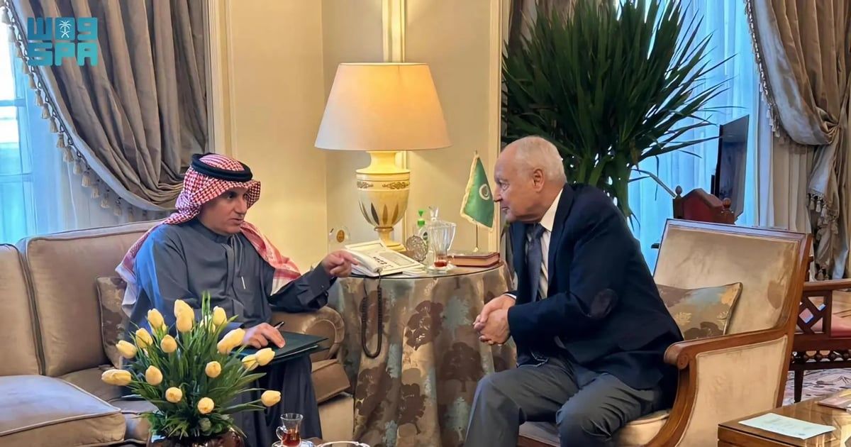 "أبو الغيط" يلتقي مندوبَ المملكة بالجامعة العربية ويبحثان المستجدّات