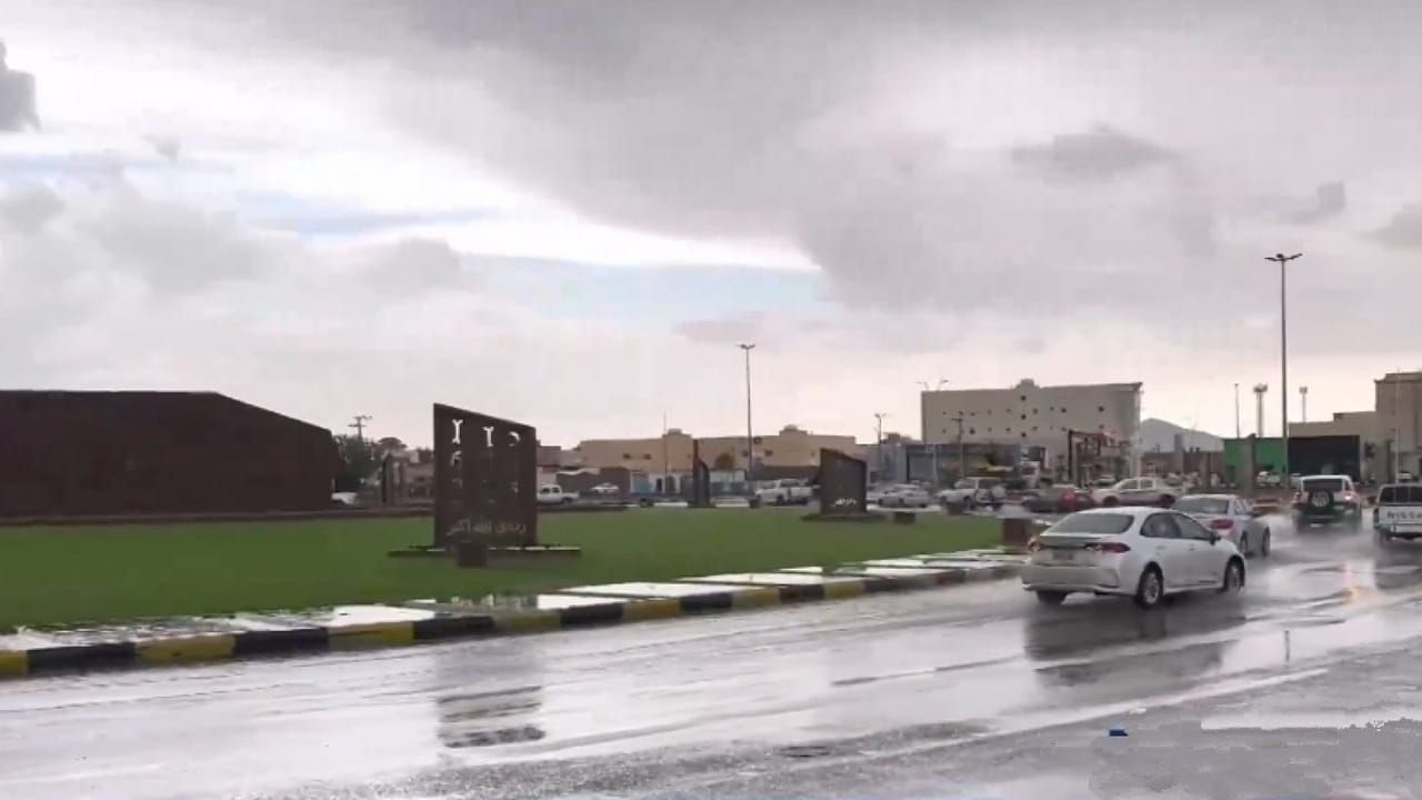 محلل الطقس: ستنخفض درجات الحرارة في الرياض إلى 10 درجات .. فيديو