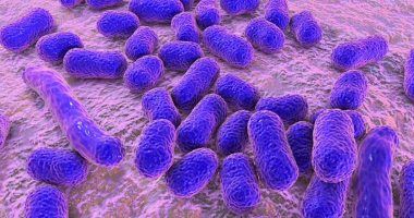 علماء يكتشفون نوع من المضادات الحيوية تقتل البكتيريا المقاومة للأدوية