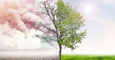 لمواجهة التغيرات المناخية.. جهود مصرية كبيرة في إقامة المشروعات الخضراء