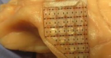 تكنولوجيا: نهاية إدمان القمار.. علماء يطورون شريحة دماغية تقلل من المخاطرة