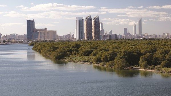 الطقس صحو إلى غائم مع رياح خفيفة إلى معتدلة غداً