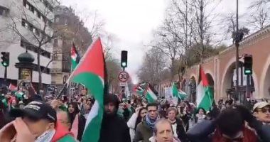 مسيرات فى عدة مدن فرنسية دعما للشعب الفلسطينى