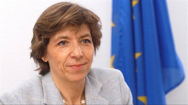 الخارجية الفرنسية: بلادنا ملتزمة بإيصال المساعدات الإنسانية إلى غزة والتنسيق مع مصر والأردن