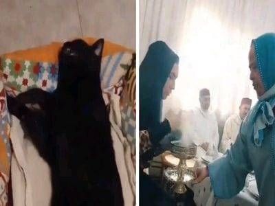 تراند اليوم : شاهد : ابنة عمدة في المغرب تقيم مراسم عزاء لقطتها وتحضر رجال دين للدعاء و قراءة الفاتحة على روحها!