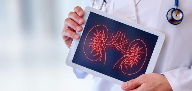 احترس.. تناول هذا النوع من الفول يسبب نقص الكالسيوم وتلف الكلى