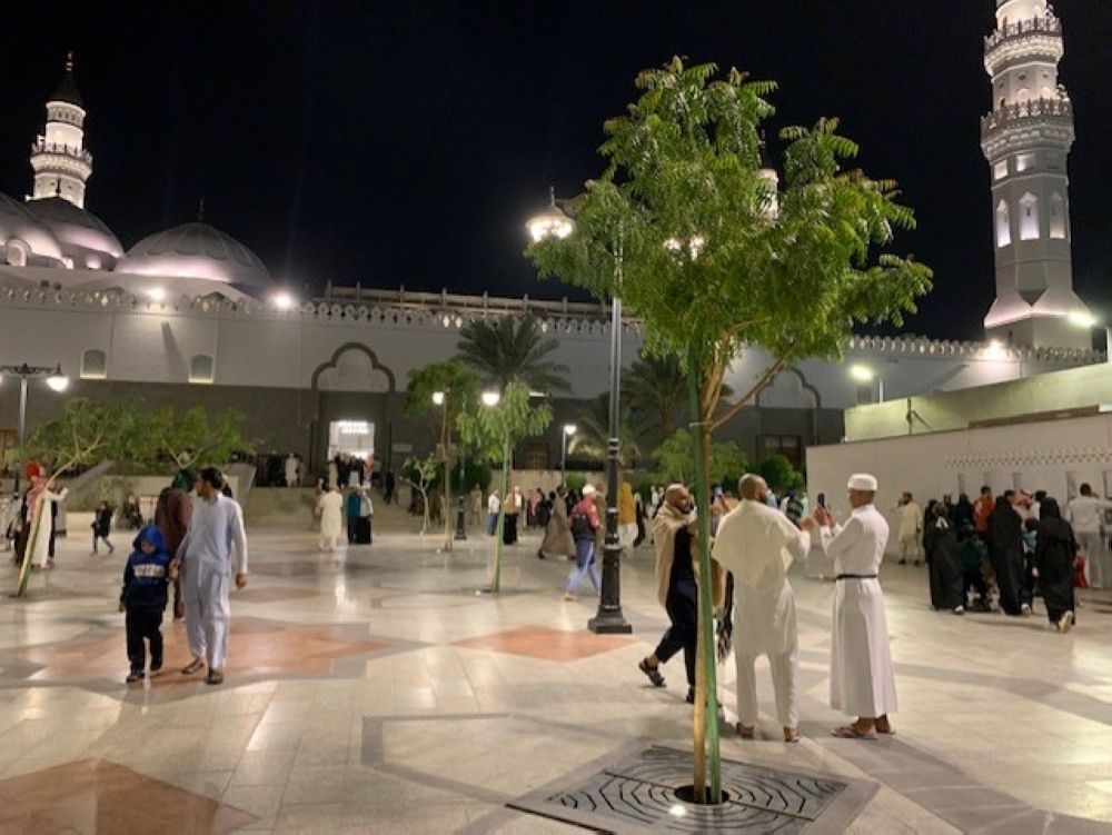 توافد الزوار على المدينة المنورة