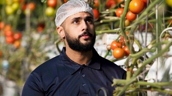 "أبوظبي للزراعة والسلامة الغذائية" تطلق خطة لتوصيل المياه المعاد تدويرها لأكثر من 1.600 مزرعة